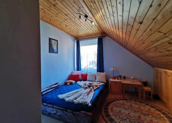 Julia * 巴拉顿诺尔马迪